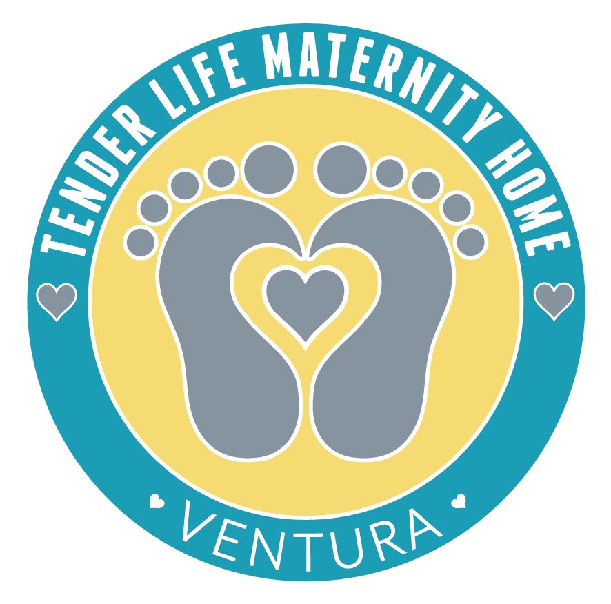 https://www.projectunderstanding.org/wp-content/uploads/2022/10/Tender_Life_Maternity_Logo_300dpi.png